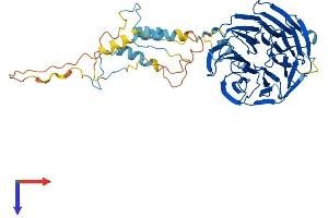 AlphaFold protein structure predicition of Mouse Recombinant Fzr1 Protein, UniprotID Q9R1K5