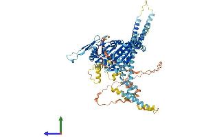 AlphaFold protein structure predicition of Human Recombinant KIF9 Protein, UniprotID Q9HAQ2