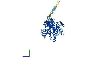 AlphaFold protein structure predicition of Mouse Recombinant Fut8 Protein, UniprotID Q9WTS2