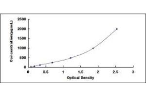 Typical standard curve (Anillin Kit ELISA)