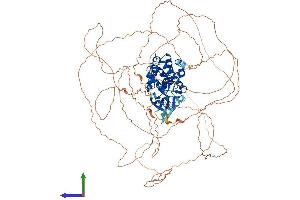AlphaFold protein structure predicition of Mouse Recombinant Cdkl5 Protein, UniprotID Q3UTQ8