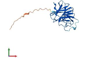 AlphaFold protein structure predicition of Human Recombinant SPRYD4 Protein, UniprotID Q8WW59