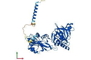 AlphaFold protein structure predicition of Mouse Recombinant Fktn Protein, UniprotID Q8R507