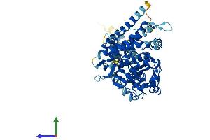 AlphaFold protein structure predicition of Human Recombinant CYP4X1 Protein, UniprotID Q8N118