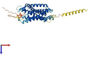 AlphaFold protein structure predicition of Mouse Recombinant Sstr2 Protein, UniprotID P30875