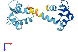 AlphaFold protein structure predicition of Human Recombinant CALML3 Protein, UniprotID P27482