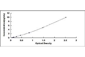 Typical standard curve (CCR7 Kit ELISA)