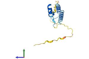 AlphaFold protein structure predicition of Human Recombinant PPP1R14D Protein, UniprotID Q9NXH3
