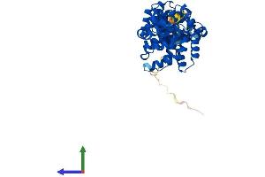 AlphaFold protein structure predicition of Human Recombinant BZW2 Protein, UniprotID Q9Y6E2