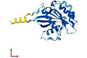 AlphaFold protein structure predicition of Mouse Recombinant Arfrp1 Protein, UniprotID Q8BXL7