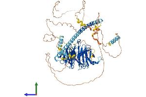 AlphaFold protein structure predicition of Human Recombinant STRN3 Protein, UniprotID Q13033