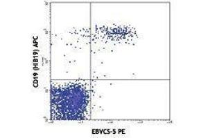 Flow Cytometry (FACS) image for anti-Fc Fragment of IgE, Low Affinity II, Receptor For (CD23) (FCER2) antibody (PE) (ABIN2663196)
