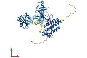 AlphaFold protein structure predicition of Mouse Recombinant Matk Protein, UniprotID P41242