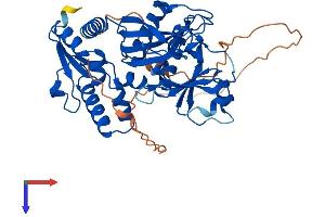 AlphaFold protein structure predicition of Mouse Recombinant Itpk1 Protein, UniprotID Q8BYN3
