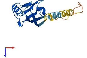 AlphaFold protein structure predicition of Mouse Recombinant Synj2bp Protein, UniprotID Q9D6K5