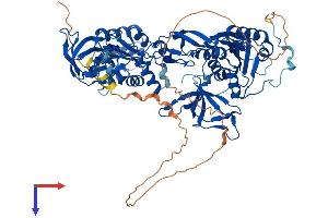 AlphaFold protein structure predicition of Human Recombinant GPHN Protein, UniprotID Q9NQX3