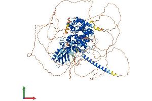 AlphaFold protein structure predicition of Mouse Recombinant Mtmr3 Protein, UniprotID Q8K296