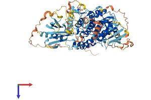 AlphaFold protein structure predicition of Human Recombinant MTMR11 Protein, UniprotID A4FU01