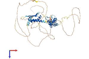 AlphaFold protein structure predicition of Mouse Recombinant Mex3b Protein, UniprotID Q69Z36