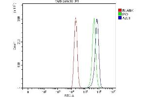 Flow Cytometry analysis of THP-1 cells using anti-Azurocidin/AZU1 antibody (ABIN7601000).