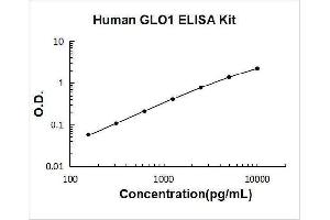 Glyoxalase I (GLO1) ELISA Kit