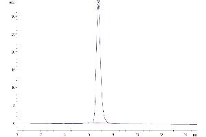 The purity of Human Her4/ErbB4 is greater than 95 % as determined by SEC-HPLC.