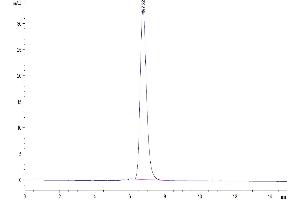 The purity of Human Her4/ErbB4 is greater than 95 % as determined by SEC-HPLC. (ERBB4 Protein (AA 26-651) (Fc Tag))