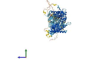AlphaFold protein structure predicition of Mouse Recombinant Adcy7 Protein, UniprotID P51829