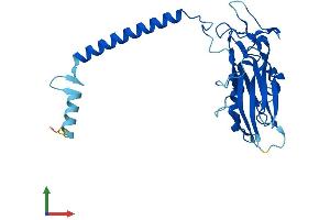 AlphaFold protein structure predicition of Mouse Recombinant Atp1b3 Protein, UniprotID P97370