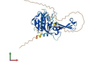 AlphaFold protein structure predicition of Human Recombinant USP17L6P Protein, UniprotID Q6QN14