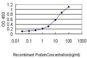 Detection limit for recombinant GST tagged ORM1 is approximately 0.