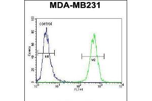 Flow cytometric analysis of MDA-MB231 cells (right histogram) compared to a negative control cell (left histogram).