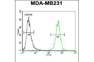Flow cytometric analysis of MDA-MB231 cells (right histogram) compared to a negative control cell (left histogram). (HHLA2 anticorps  (N-Term))