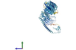 AlphaFold protein structure predicition of Mouse Recombinant Tgfbrap1 Protein, UniprotID Q3UR70