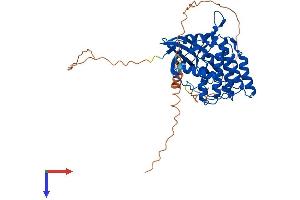 AlphaFold protein structure predicition of Mouse Recombinant Csnk1g3 Protein, UniprotID Q8C4X2