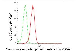 Flow cytometric analysis of Contactin associated protein 1 expression in HepG2 cells using Contactin associated protein 1 antibody (ABIN7798148), 1:2,000). (Recombinant CNTNAP1 anticorps)