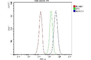 Flow Cytometry analysis of JK cells using anti-GP210/NUP210 antibody (ABIN7600707). (NUP210 anticorps  (AA 221-1724))