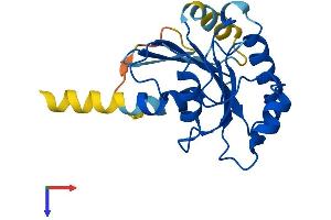 AlphaFold protein structure predicition of Human Recombinant SAR1B Protein, UniprotID Q9Y6B6