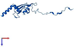 AlphaFold protein structure predicition of Mouse Recombinant Ndufa12 Protein, UniprotID Q7TMF3