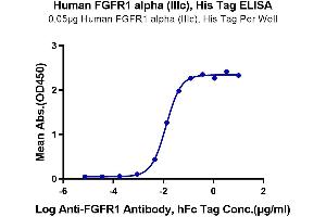 Immobilized Human FGFR1 alpha (IIIc) at 0.
