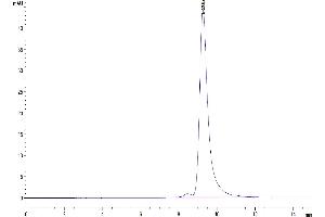 The purity of Cynomolgus CD161 is greater than 95 % as determined by SEC-HPLC.