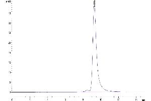 The purity of Cynomolgus CD161 is greater than 95 % as determined by SEC-HPLC. (CD161 Protein (AA 67-227) (His-Avi Tag))