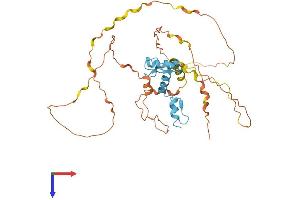 AlphaFold protein structure predicition of Human Recombinant KLF1 Protein, UniprotID Q13351