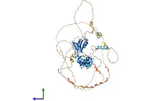 AlphaFold protein structure predicition of Mouse Recombinant Ldb3 Protein, UniprotID Q9JKS4