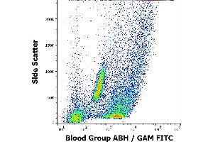 Flow cytometry surface staining pattern of human peripheral whole blood from group A donor stained using anti-blood group ABH (HE-10) antibody (culture supernatant, GAM FITC). (Blood Group ABH anticorps)
