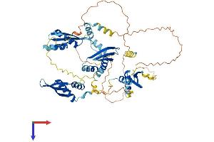AlphaFold protein structure predicition of Human Recombinant STAU2 Protein, UniprotID Q9NUL3