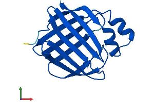 AlphaFold protein structure predicition of Human Recombinant RBP7 Protein, UniprotID Q96R05