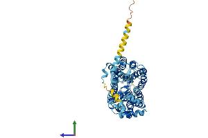 AlphaFold protein structure predicition of Mouse Recombinant Slc22a20 Protein, UniprotID Q80UJ1