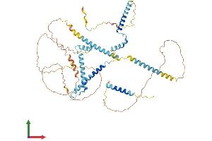 AlphaFold protein structure predicition of Human Recombinant NSRP1 Protein, UniprotID Q9H0G5