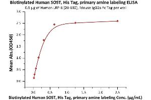 Immobilized Human LRP-6 (20-630), Mouse IgG2a Fc Tag (ABIN6923175,ABIN6938849) at 5 μg/mL (100 μL/well) can bind Biotinylated Human SOST, His Tag, primary amine labeling (ABIN2181784,ABIN2181783) with a linear range of 0.